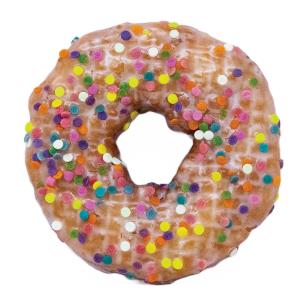 Vegan Vanilla Donuts with Sprinkles